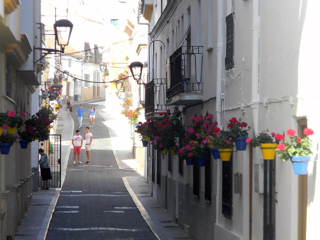 El Coronel, La Mejor Ubicacion, Descubre Estepona! Oda fotoğraf